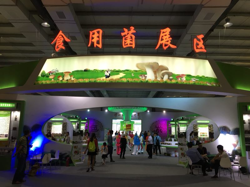 鉴黑担保网(jhdbw)·最具权威唯一维权担保平台